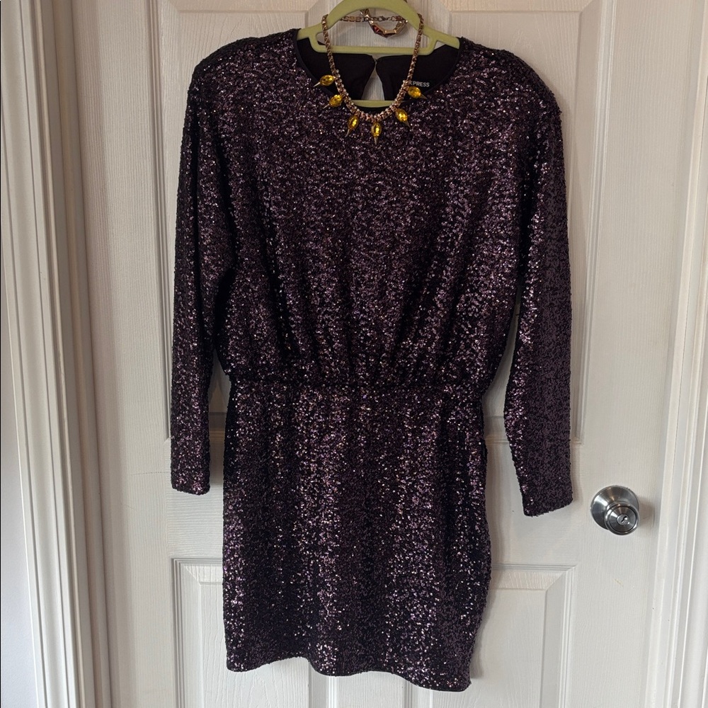 Express Deep Purple Sequin Dress